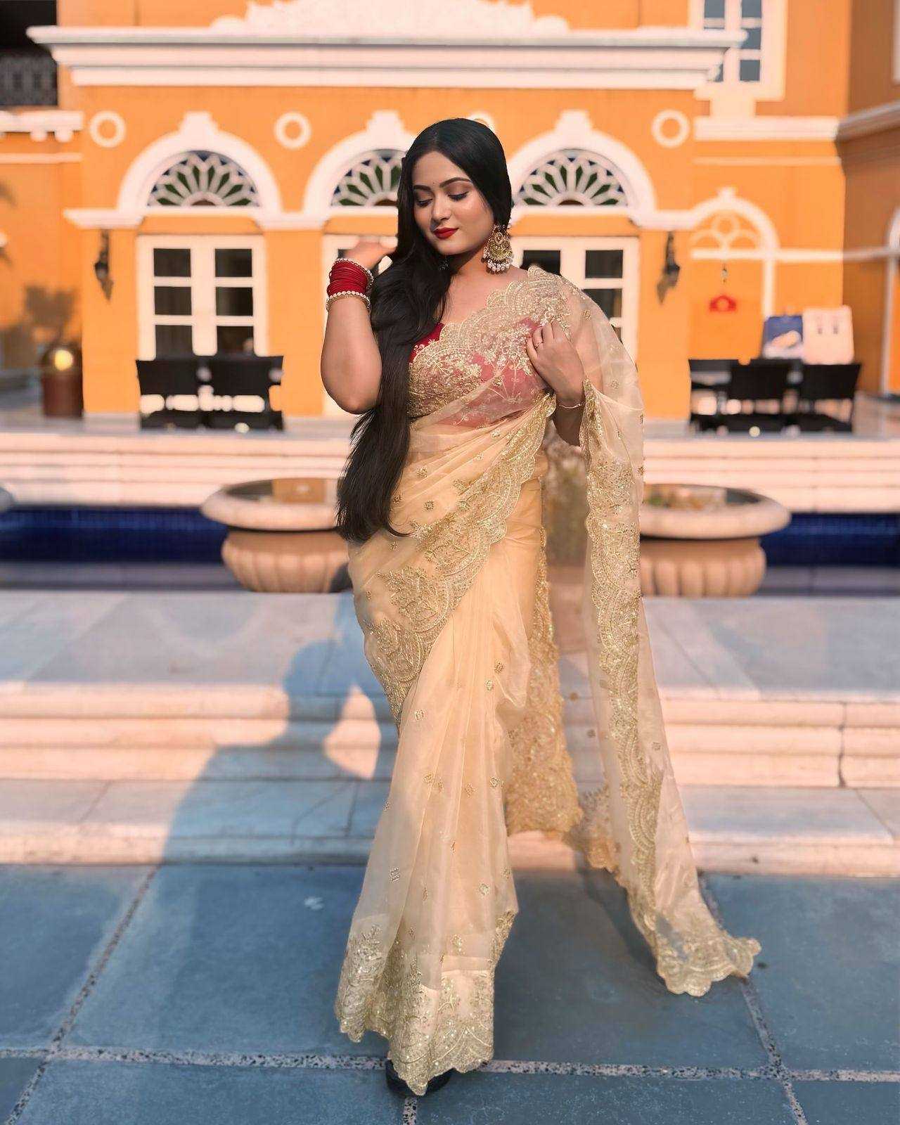 Ynf Nylon RIN151 5361 Sarees Wedding Collections Festive Collections Wholesale Sequence Sarees Embroidered Sarees Nylon Sarees Manufacturer