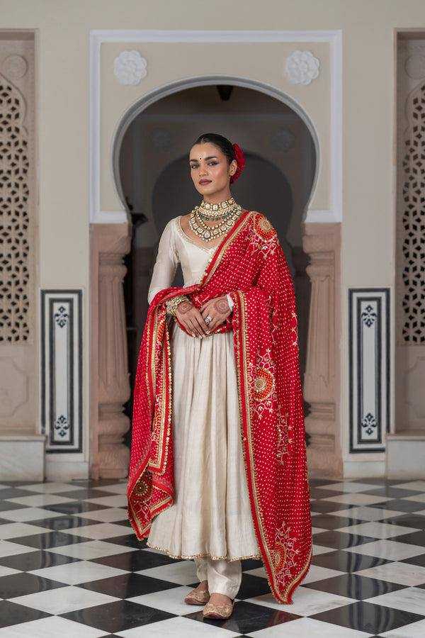 Ynf Chinon RIN141 1970 Gowns Wholesale Fancy Gowns Anarkali Gown Long Gowns Manufacturer