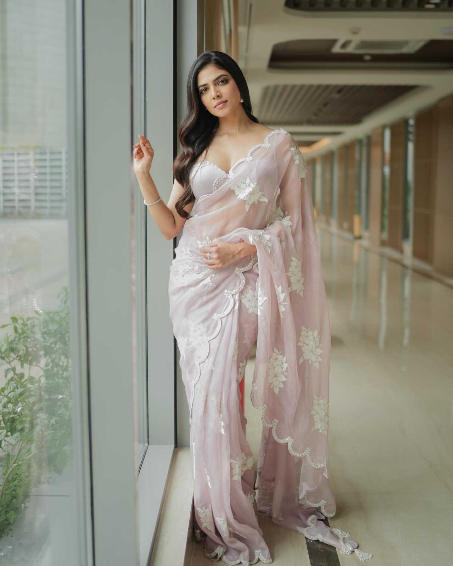Ynf Organza RIN164 BABY Sarees Bollywood Collections Wholesale Organza Sarees Embroidered Sarees Malavika Mohan Manufacturer