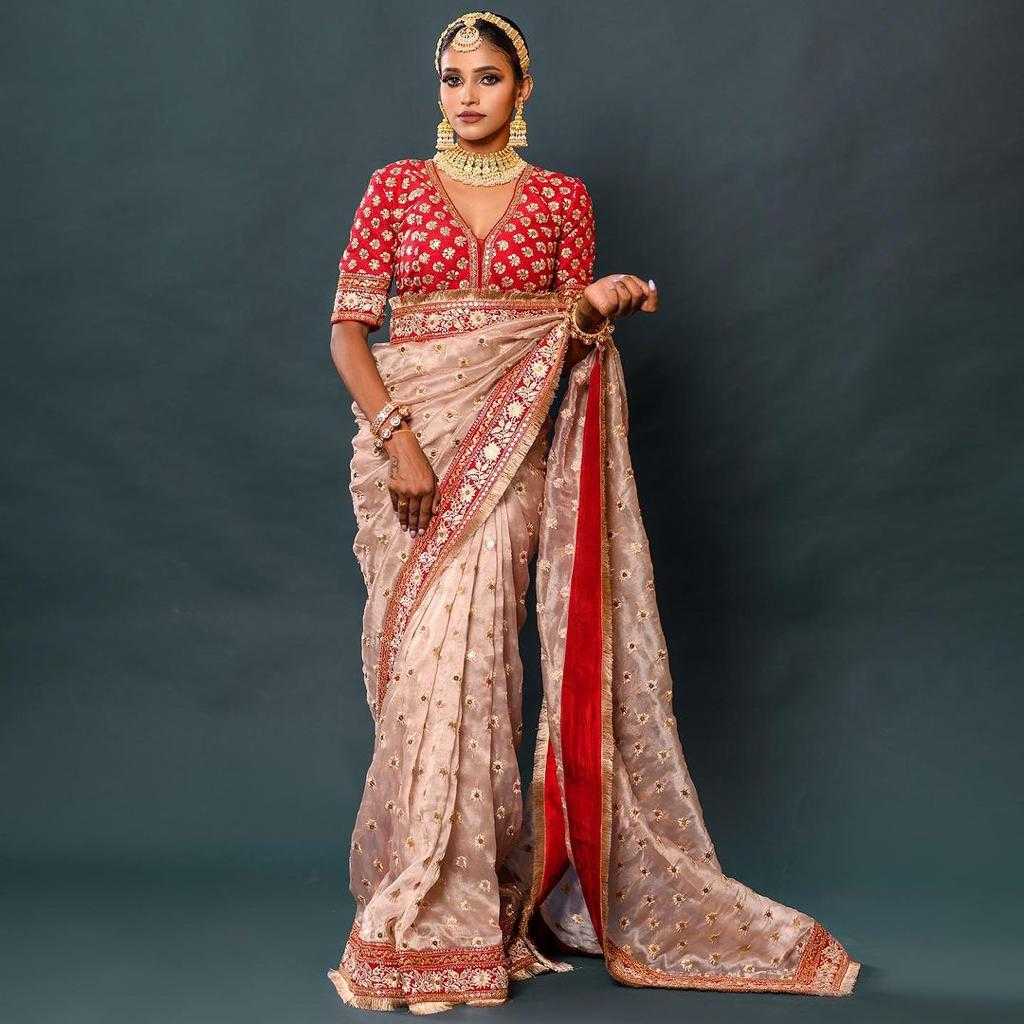 Ynf Organza Silk RIN134 0198 Silk Sarees Wholesale Designer Silk Sarees Silk Sarees For Weddings Embroidered Silk Sarees Manufacturer