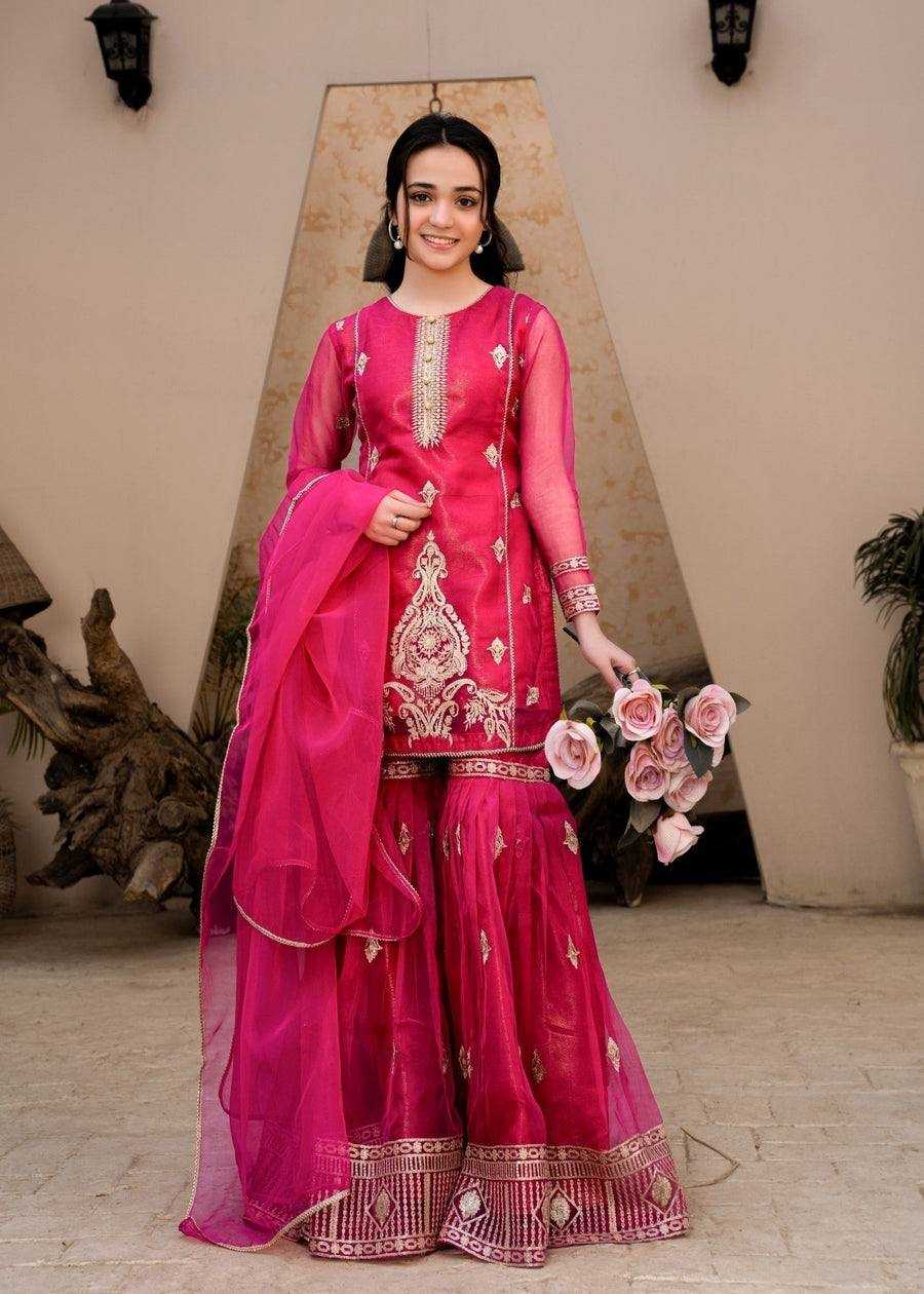 Ynf Georgette KESH158 9021 Suits & Dresses Wedding Collections Festive Collections Wholesale Palazzo Suit Georgette Suit Party wear suits Manufacturer
