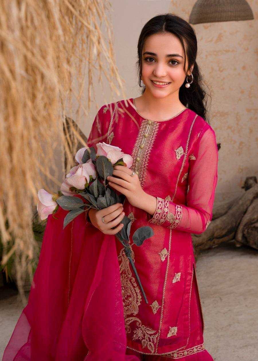 Ynf Georgette KESH158 9021 Suits & Dresses Wedding Collections Festive Collections Wholesale Palazzo Suit Georgette Suit Party wear suits Manufacturer