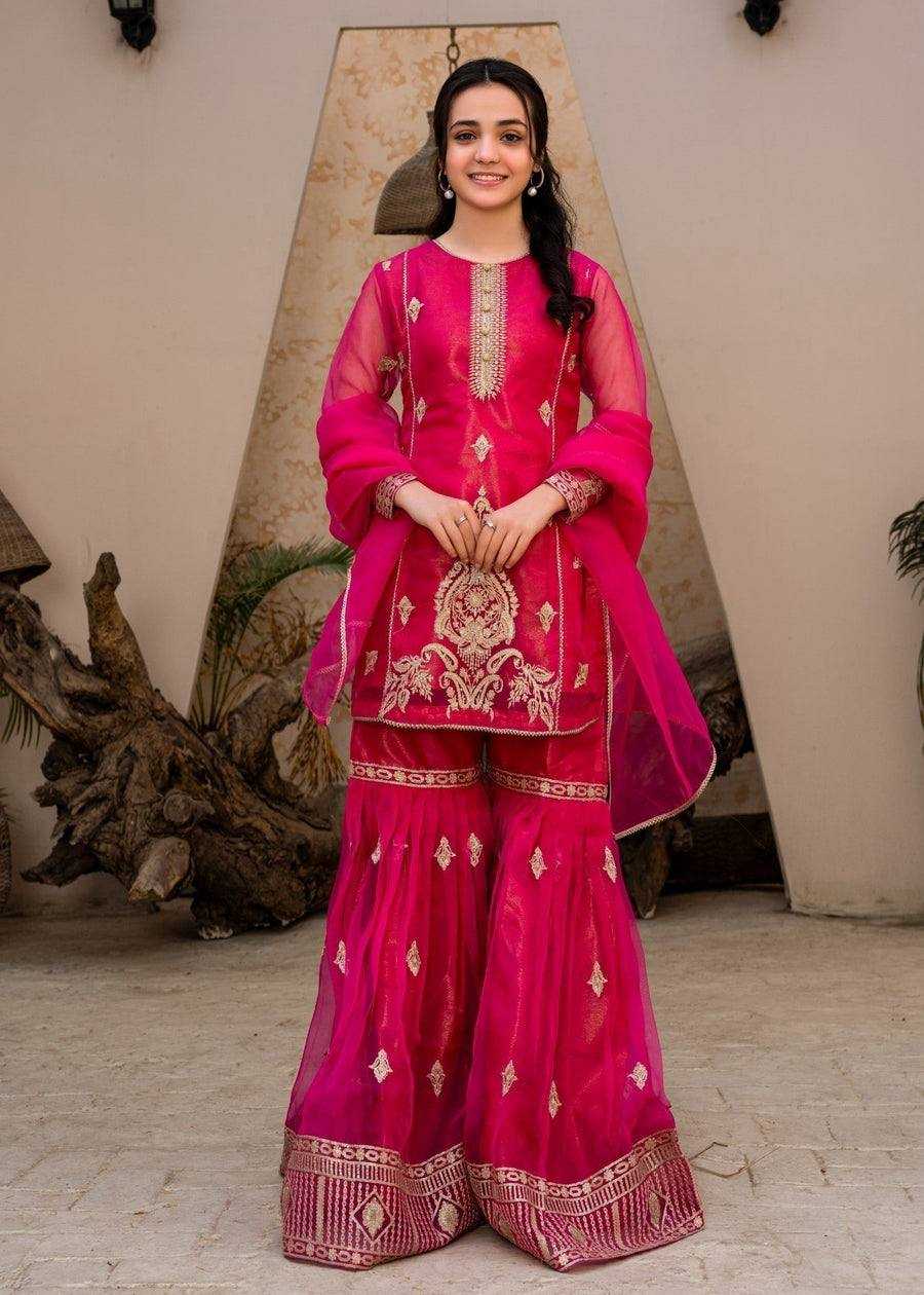 Ynf Georgette KESH158 9021 Suits & Dresses Wedding Collections Festive Collections Wholesale Palazzo Suit Georgette Suit Party wear suits Manufacturer