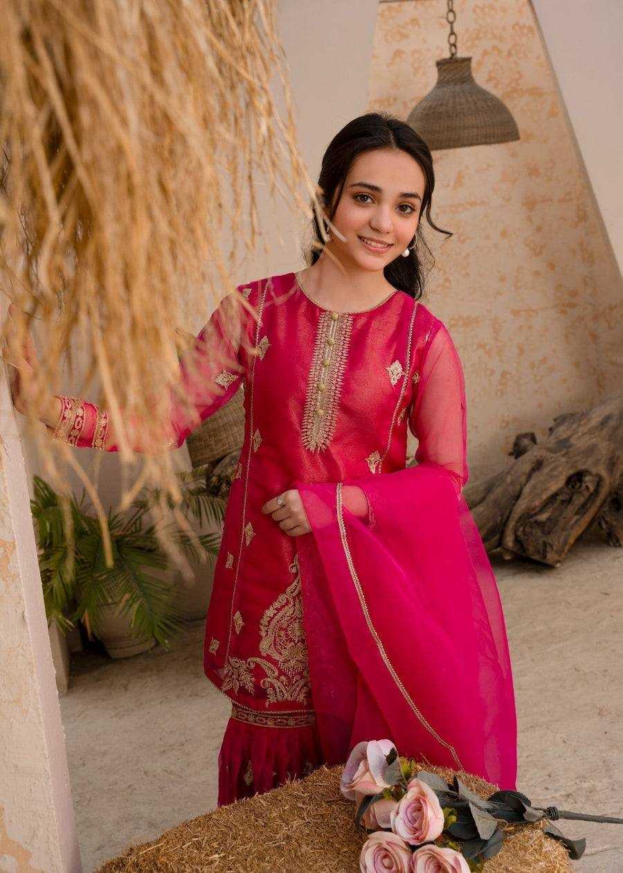 Ynf Georgette KESH158 9021 Suits & Dresses Wedding Collections Festive Collections Wholesale Palazzo Suit Georgette Suit Party wear suits Manufacturer