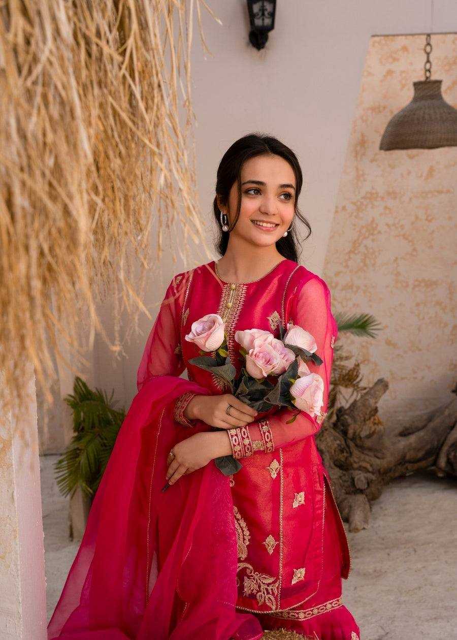 Ynf Georgette KESH158 9021 Suits & Dresses Wedding Collections Festive Collections Wholesale Palazzo Suit Georgette Suit Party wear suits Manufacturer