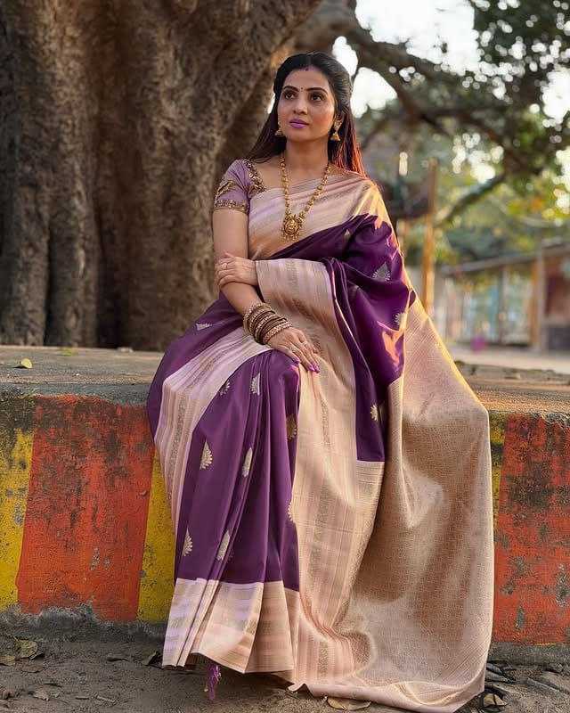 Ynf Lichi Silk RIN216 Ishika Sarees Wedding Collections Festive Collections Wholesale Jacquard Saree Silk Sarees Sarees With Blouse Manufacturer