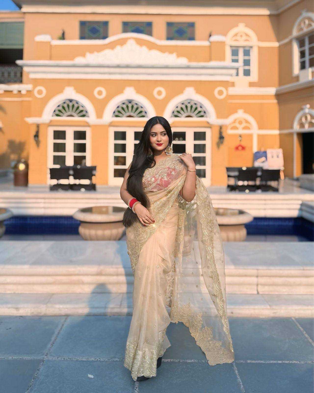 Ynf Nylon RIN151 5361 Sarees Wedding Collections Festive Collections Wholesale Sequence Sarees Embroidered Sarees Nylon Sarees Manufacturer