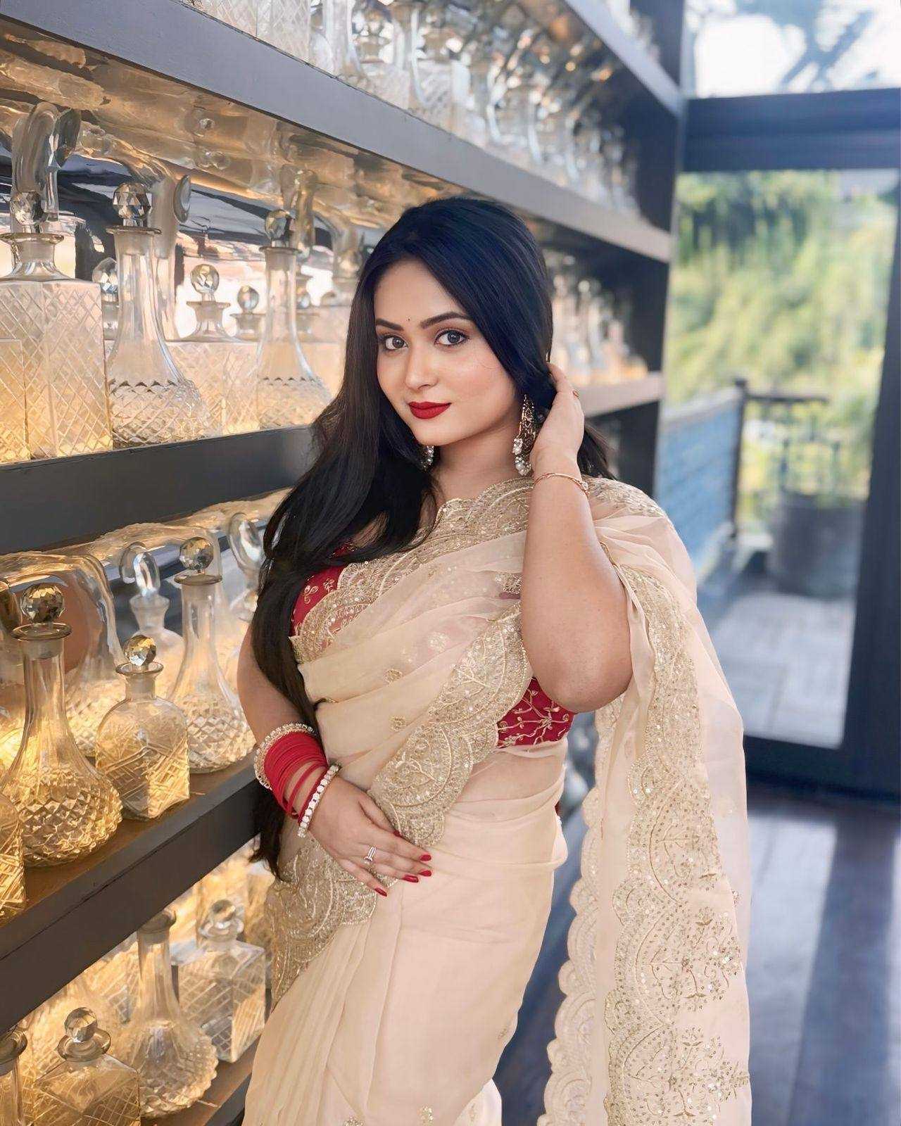 Ynf Nylon RIN151 5361 Sarees Wedding Collections Festive Collections Wholesale Sequence Sarees Embroidered Sarees Nylon Sarees Manufacturer