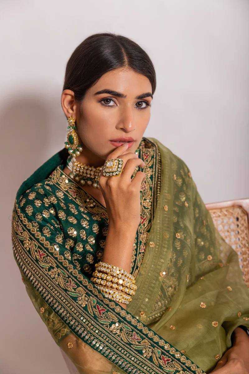 Ynf Organza RIN188 Emly Saree Sarees Wholesale Designer Sarees Organza Sarees Ladies Sarees Manufacturer