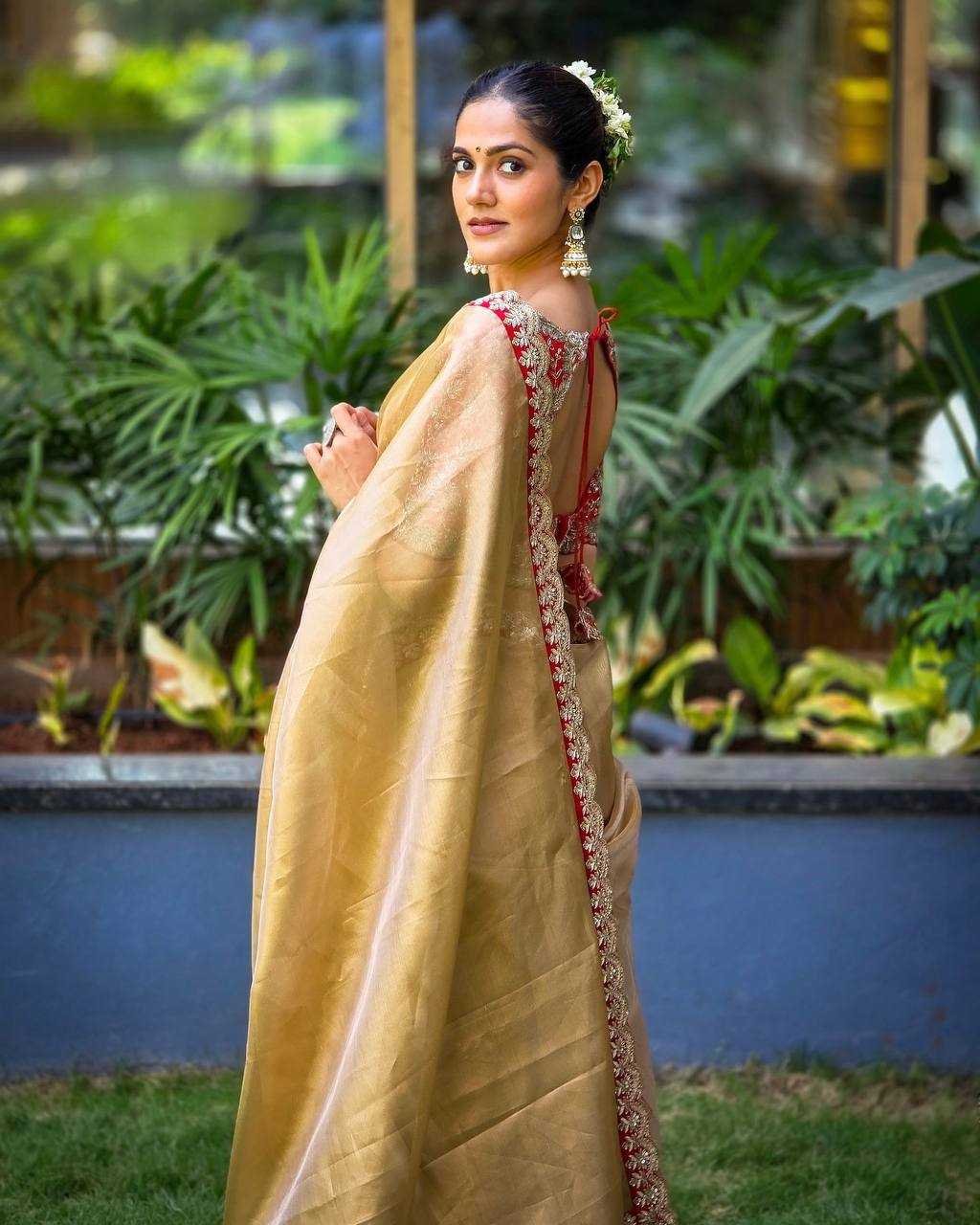 Ynf Tissue RIN151 5465 Sarees Wholesale Fancy Sarees Sequin Sarees Embroidered Sarees Lace Border Sarees Manufacturer