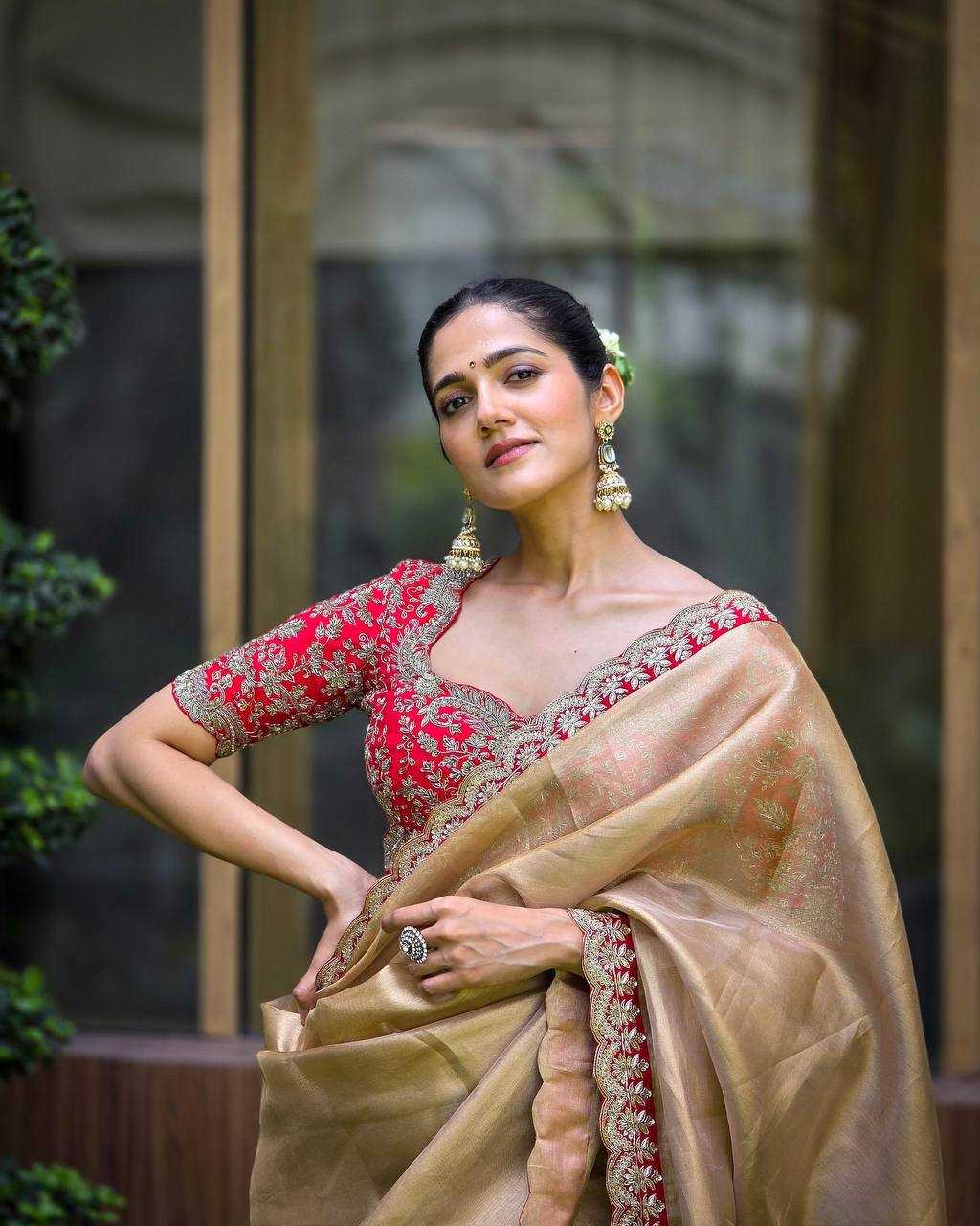 Ynf Tissue RIN151 5465 Sarees Wholesale Fancy Sarees Sequin Sarees Embroidered Sarees Lace Border Sarees Manufacturer