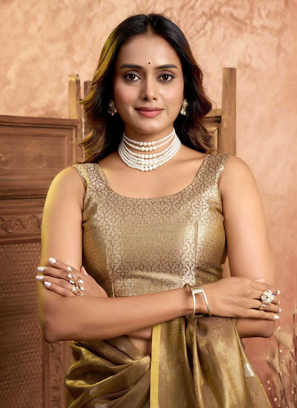 Ynf Tissue Silk RIN197 3005 Silk Sarees Wholesale Bridal Silk Sarees Designer Silk Sarees Fancy Silk Sarees Manufacturer