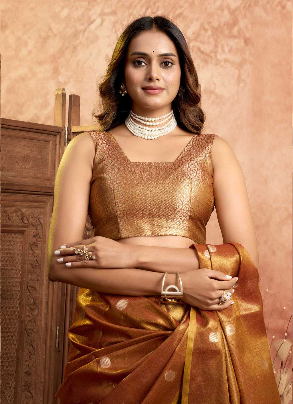 Ynf Tissue Silk RIN197 3005 Silk Sarees Wholesale Bridal Silk Sarees Designer Silk Sarees Fancy Silk Sarees Manufacturer