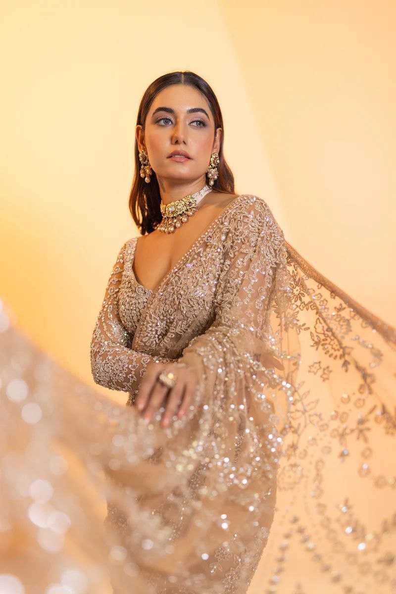 Ynf Butterfly Net KESH524 3462 Sarees Wedding Collections Festive Collections Wholesale Net Sarees Embroidered Sarees Sarees With Blouse Manufacturer