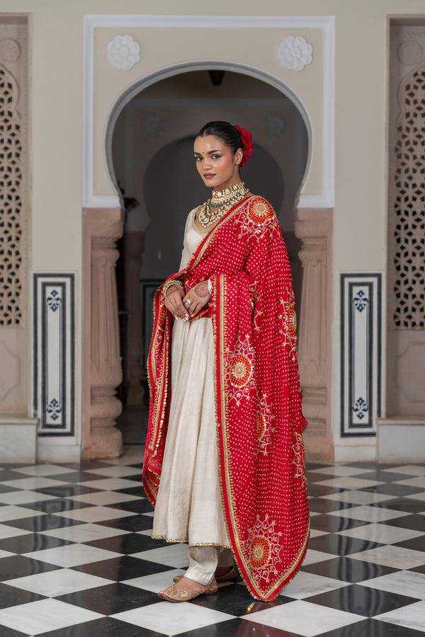 Ynf Chinon RIN141 1970 Gowns Wholesale Fancy Gowns Anarkali Gown Long Gowns Manufacturer