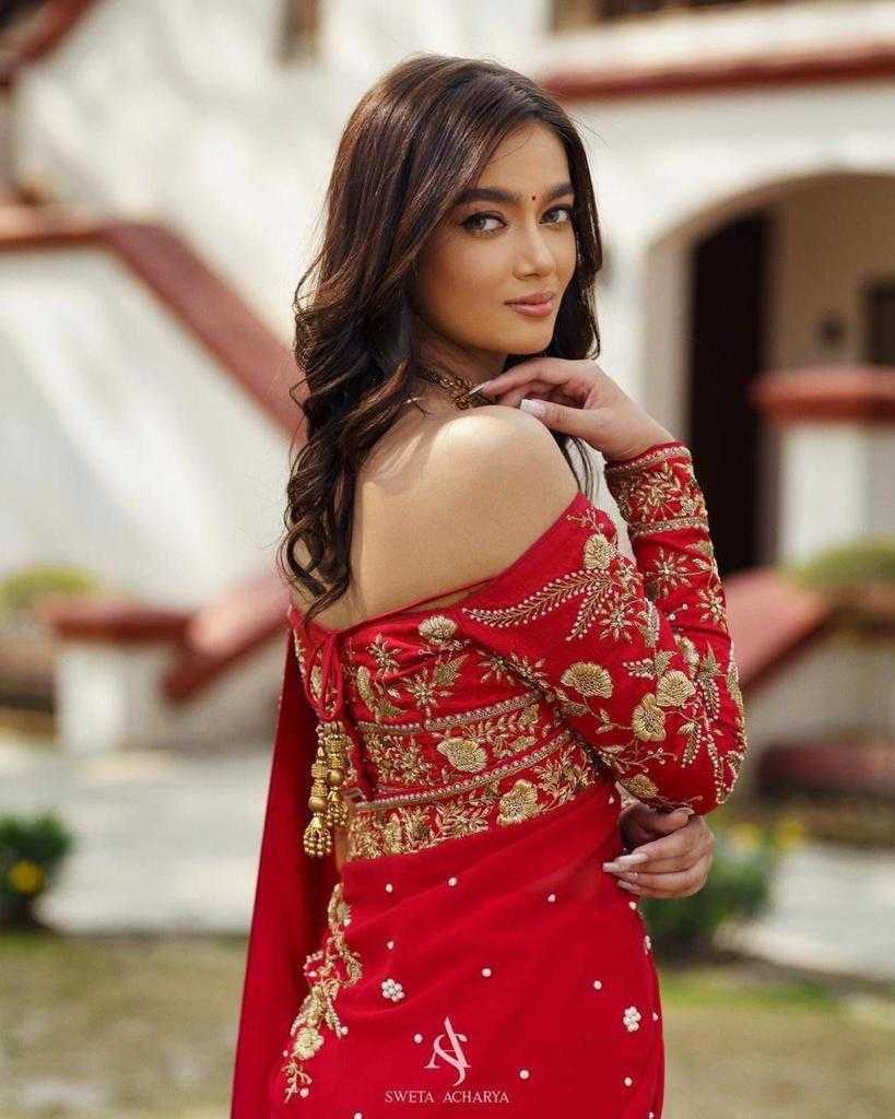 Ynf Georgette RIN134 0197 Sarees Wedding Collections Wholesale Georgette Sarees Embroidered Sarees Red Sarees Manufacturer