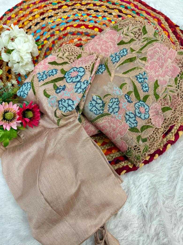 Ynf Jimmy Choo RIN164 Stree Vol -1 Sarees Wholesale Jimmy Choo Sarees Organza Sarees Embroidered Sarees Manufacturer