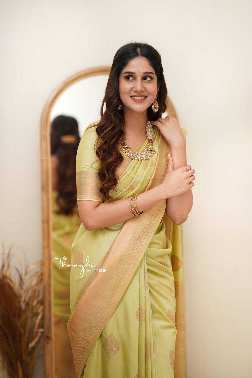 Ynf Lichi Silk KESH534 6015 Sarees Wholesale Designer Sarees Jacquard Saree Traditional Sarees Manufacturer