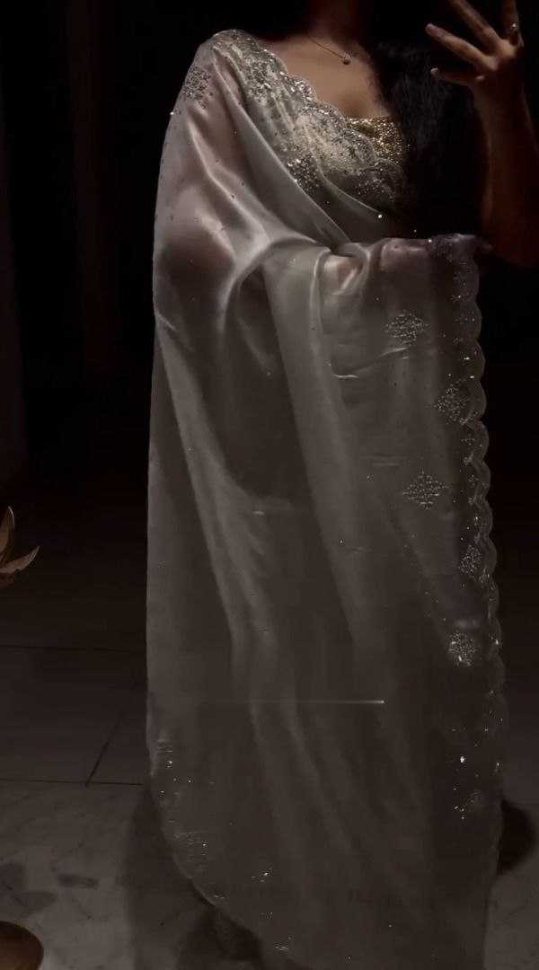 Ynf Organza RIN112 premium Sarees Wholesale Designer Sarees Organza Sarees Manufacturer