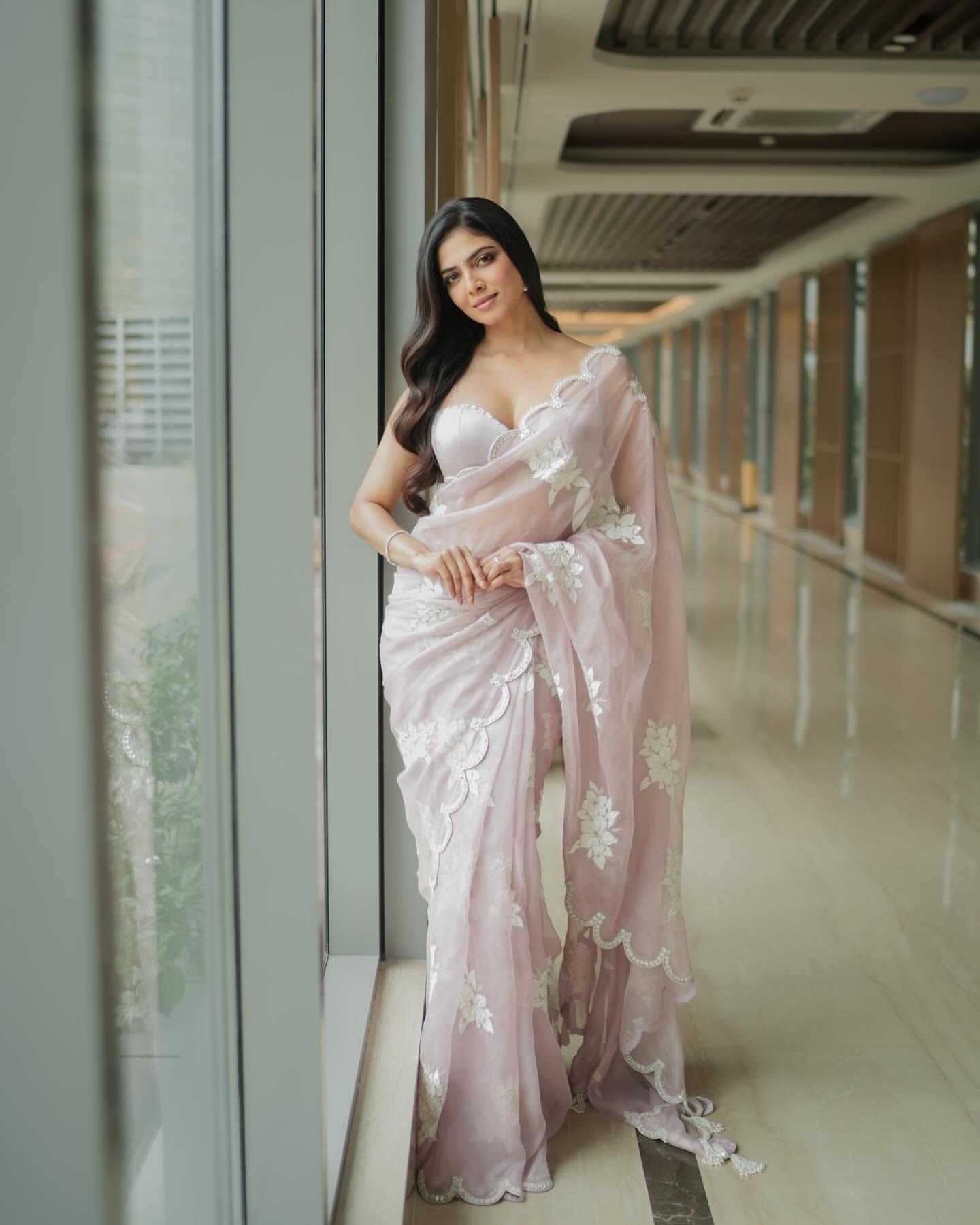 Ynf Organza RIN164 BABY Sarees Bollywood Collections Wholesale Organza Sarees Embroidered Sarees Malavika Mohan Manufacturer