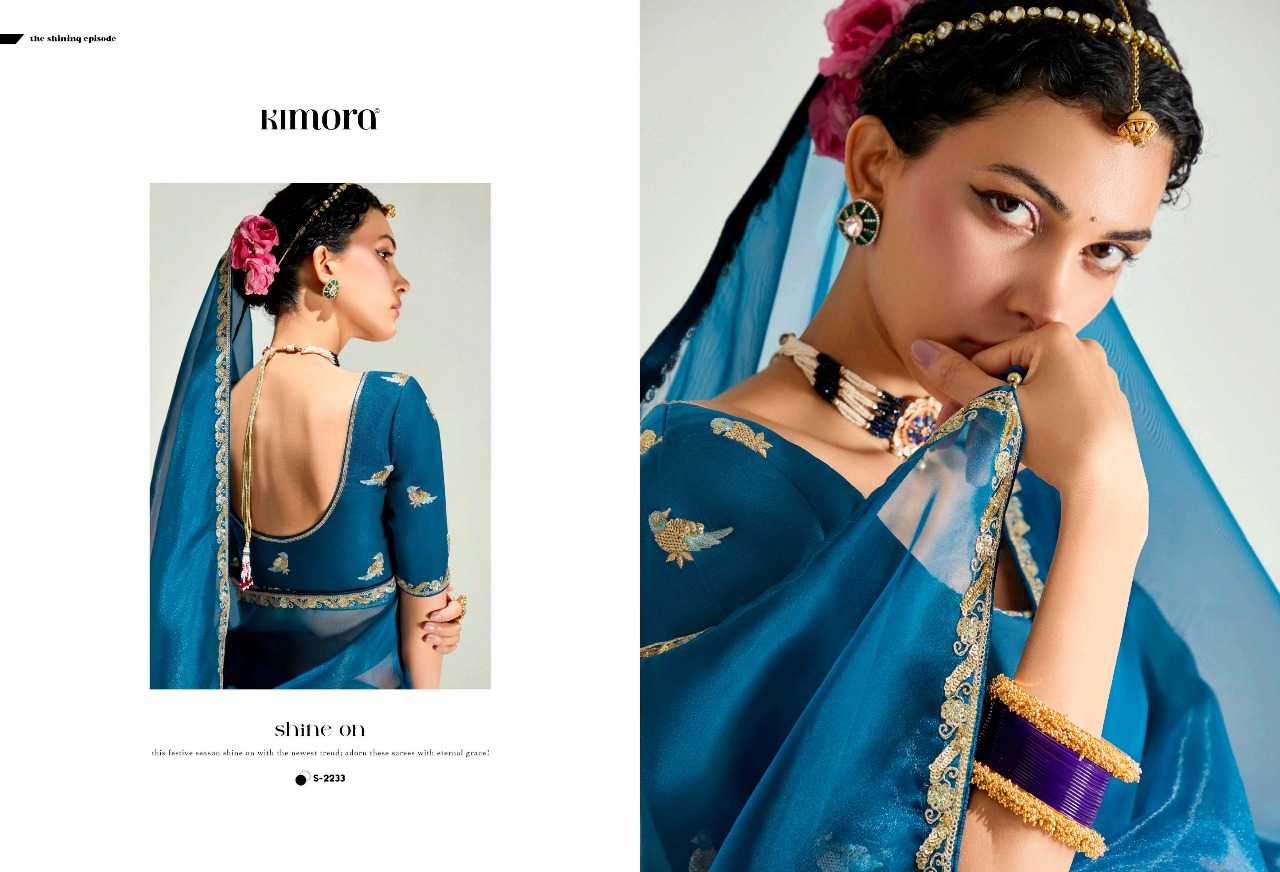 Ynf Organza RIN197 3050 2233 Sarees Wholesale Designer Sarees Party Wear Sarees Bridal Sarees Manufacturer
