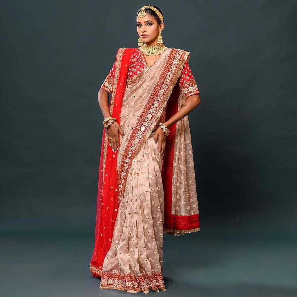 Ynf Organza Silk RIN134 0198 Silk Sarees Wholesale Designer Silk Sarees Silk Sarees For Weddings Embroidered Silk Sarees Manufacturer