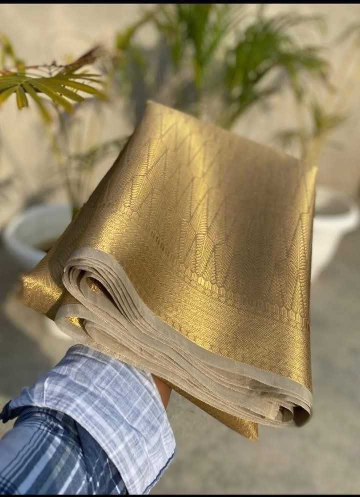 Ynf Tissue KESH525 TISSUE BROCADE Sarees Wedding Collections Wholesale Zari Border Sarees Sangeet Outfits Manufacturer