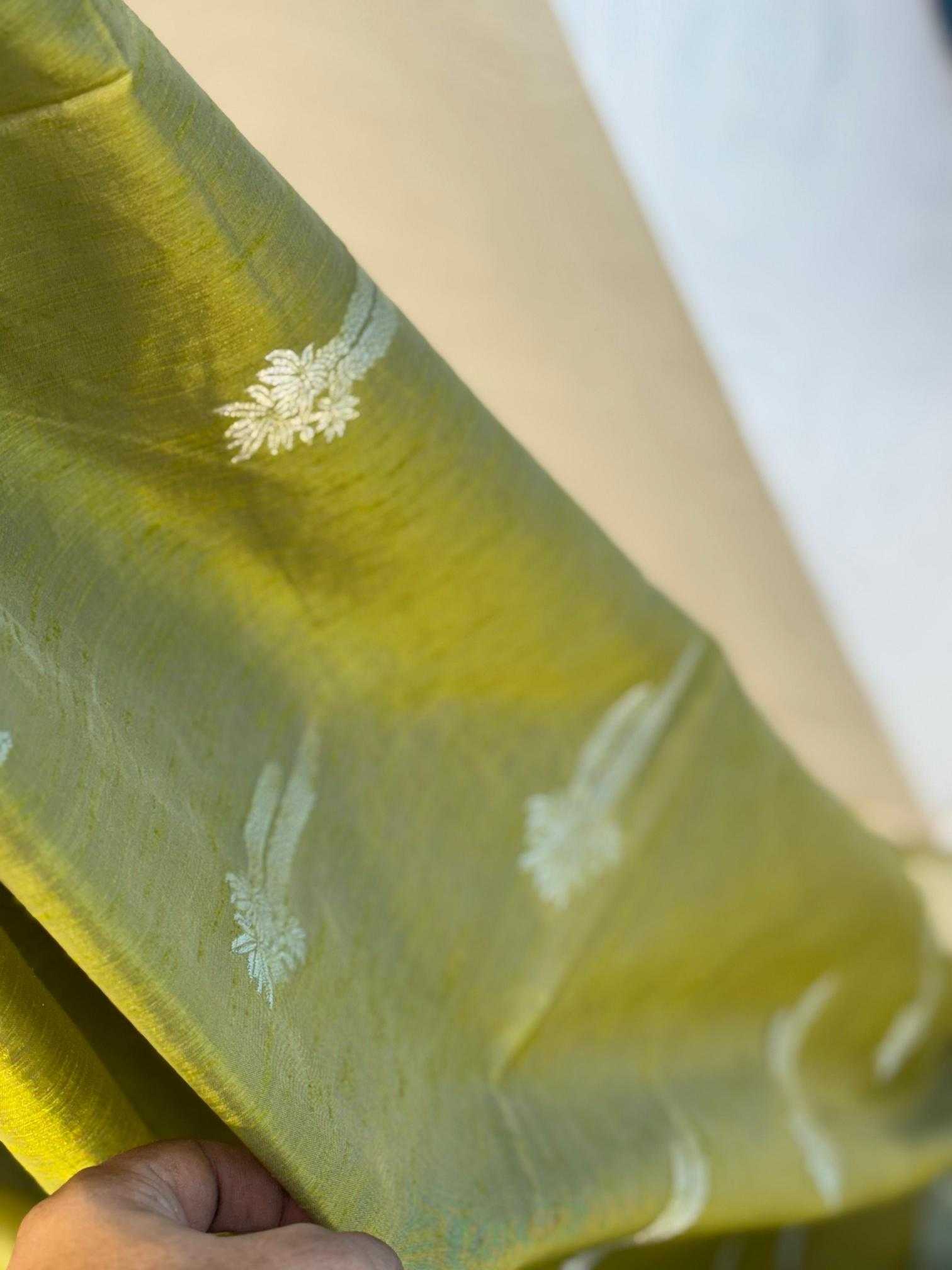 Ynf Tussar Silk RIN118 STERIO Silk Sarees Wholesale Tussar Silk Sarees Designer Silk Sarees Zari Border Silk Sarees Manufacturer